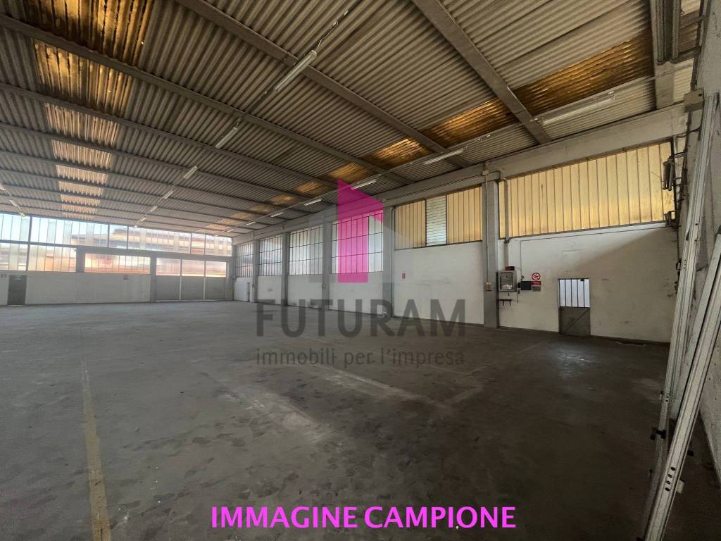 immagine annuncio 2 di 4