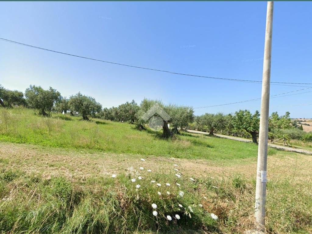immagine annuncio 2 di 3