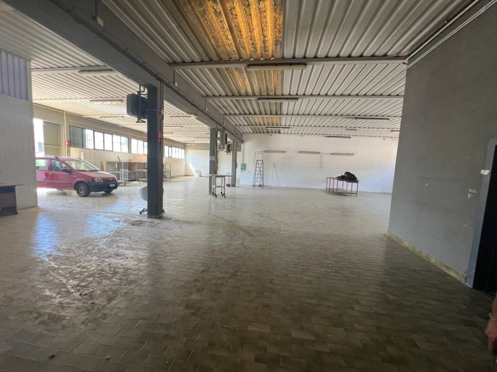 immagine annuncio 1 di 5