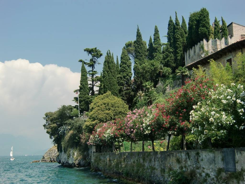immagine annuncio 2 di 5