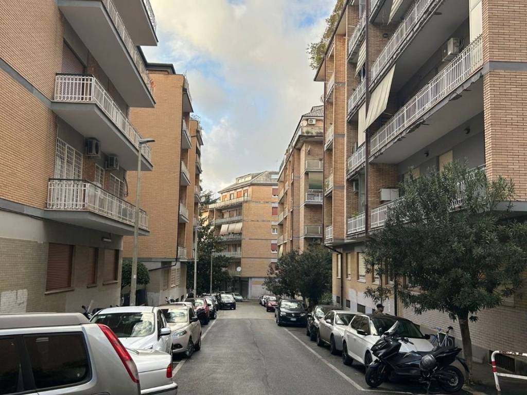 immagine annuncio 1 di 3