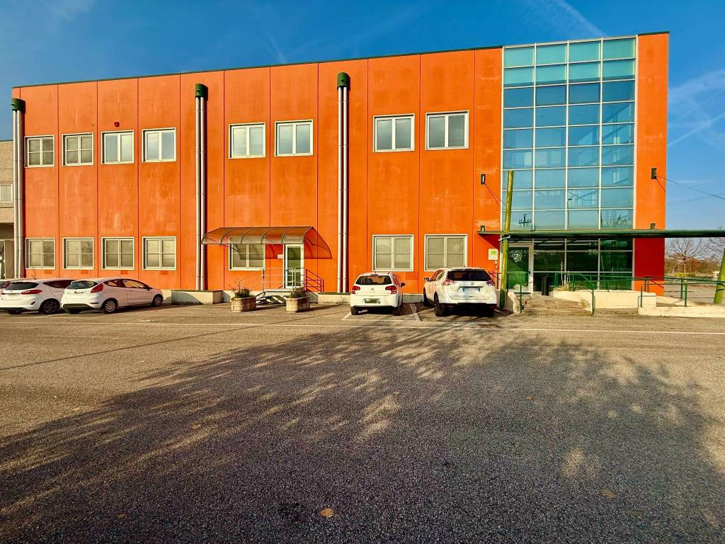 immagine annuncio 2 di 5