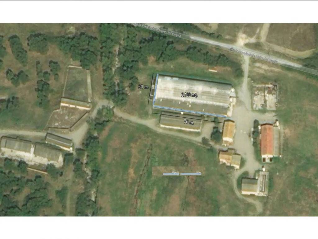 immagine annuncio 1 di 2