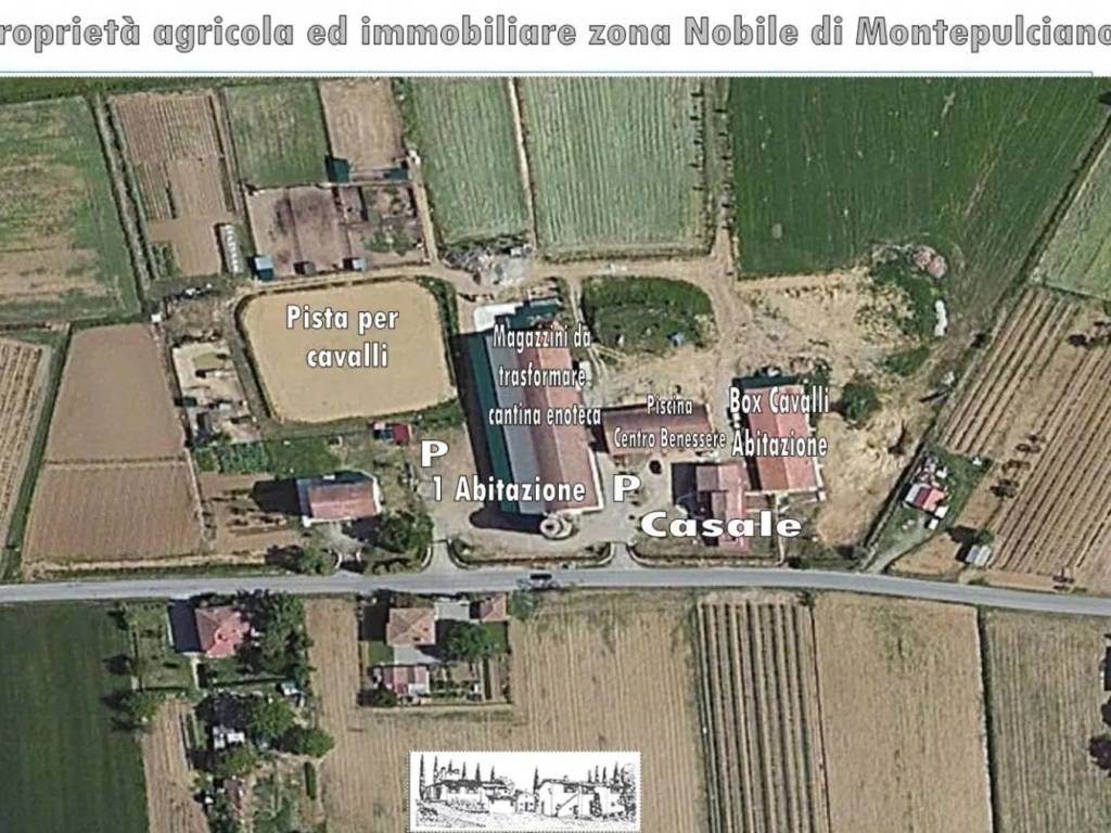 immagine annuncio 1 di 4