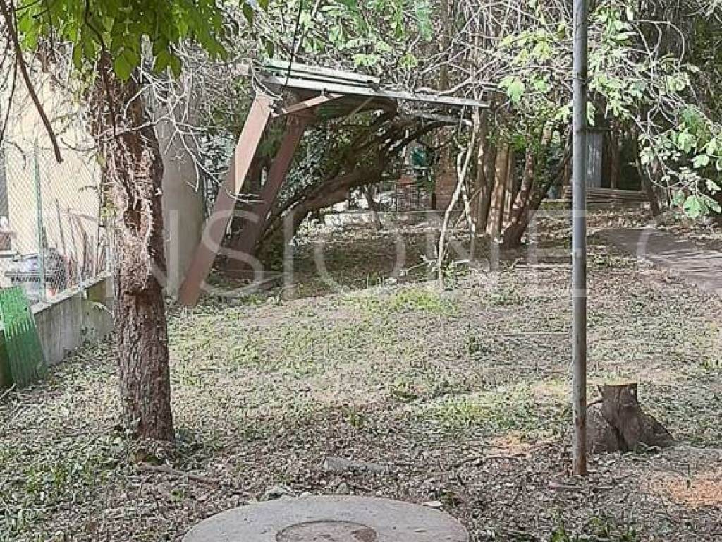 immagine annuncio 1 di 4