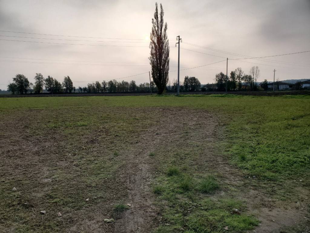 immagine annuncio 1 di 4