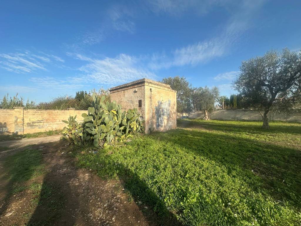 immagine annuncio 3 di 4