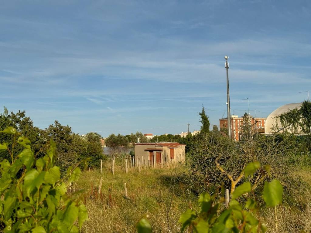 immagine annuncio 4 di 5