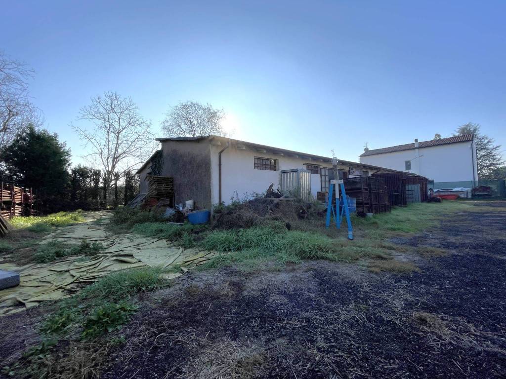 immagine annuncio 4 di 5