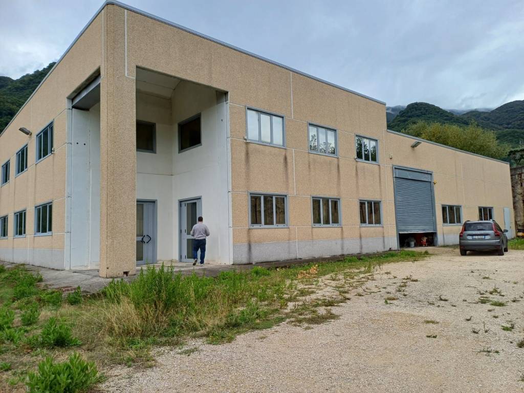 immagine annuncio 2 di 4