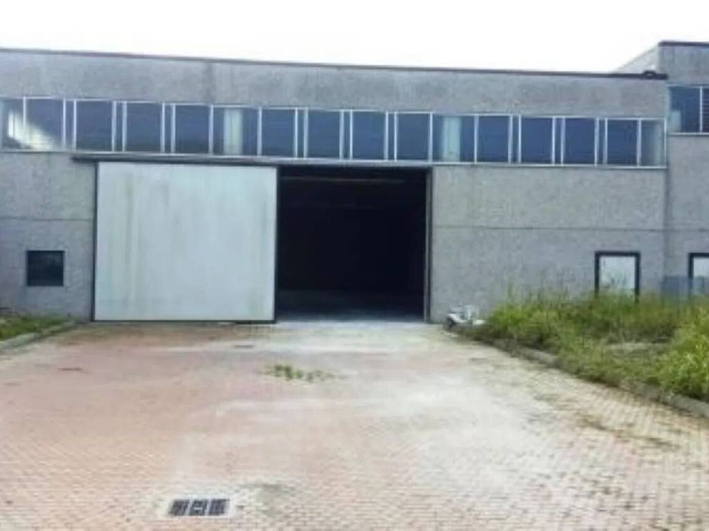immagine annuncio 3 di 5