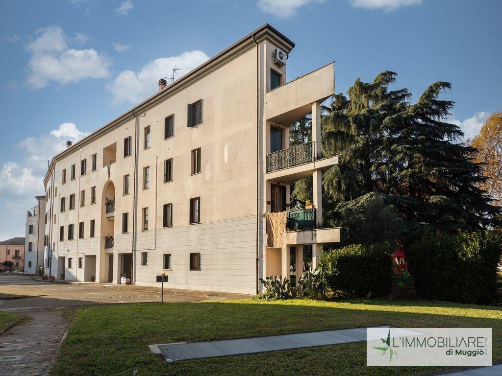 immagine annuncio 4 di 5