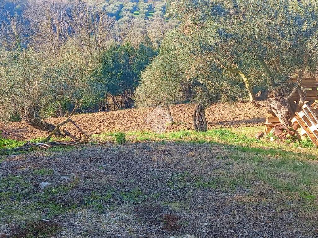 immagine annuncio 1 di 3