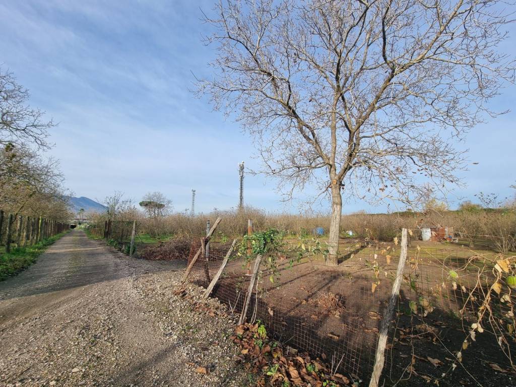 immagine annuncio 2 di 3