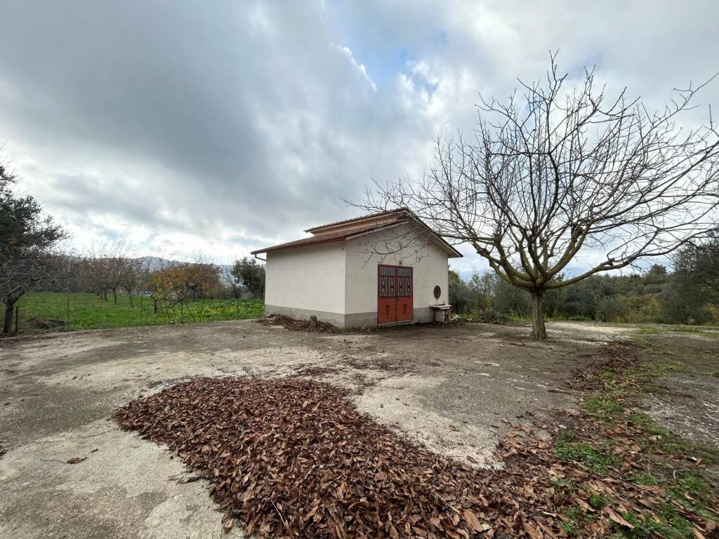 immagine annuncio 3 di 5