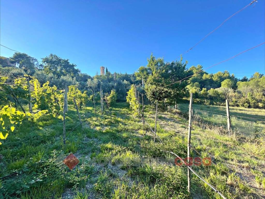 immagine annuncio 2 di 3