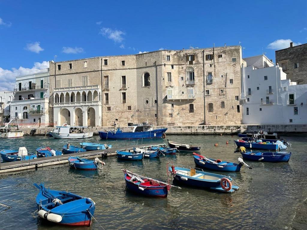 immagine annuncio 1 di 4