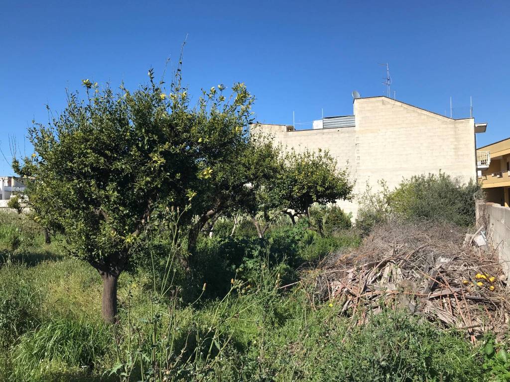 immagine annuncio 1 di 4