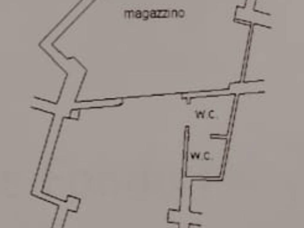 immagine annuncio 2 di 4