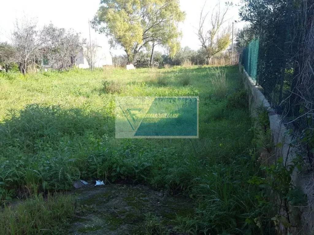 immagine annuncio 2 di 4
