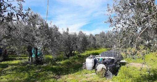 immagine annuncio 1 di 3