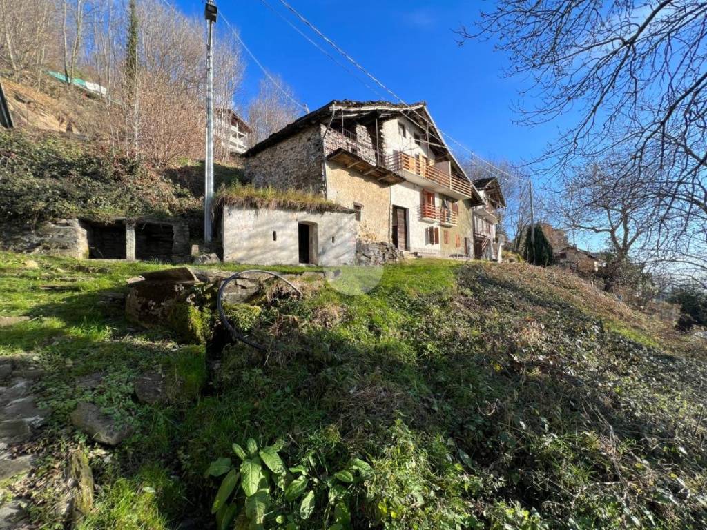 immagine annuncio 1 di 5