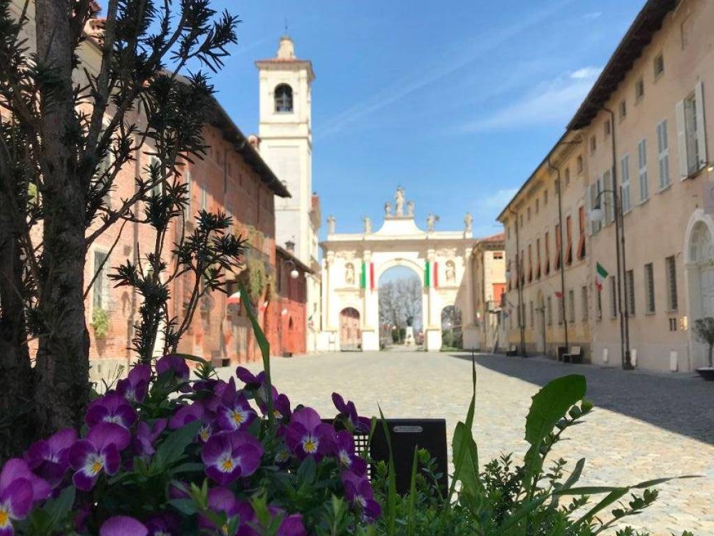 immagine annuncio 1 di 5