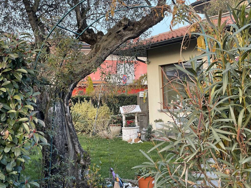 immagine annuncio 1 di 5