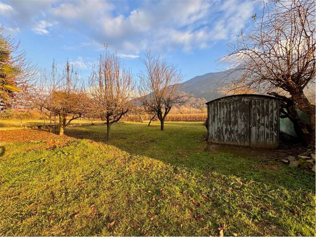 immagine annuncio 3 di 5