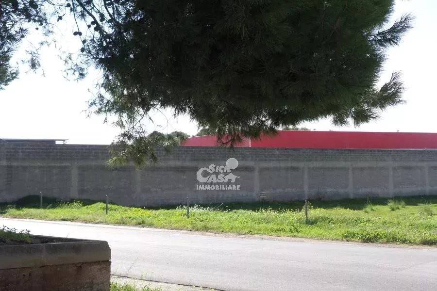 immagine annuncio 1 di 4