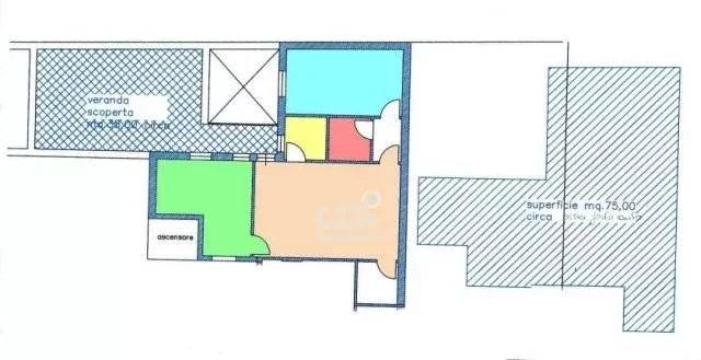 immagine annuncio 1 di 4