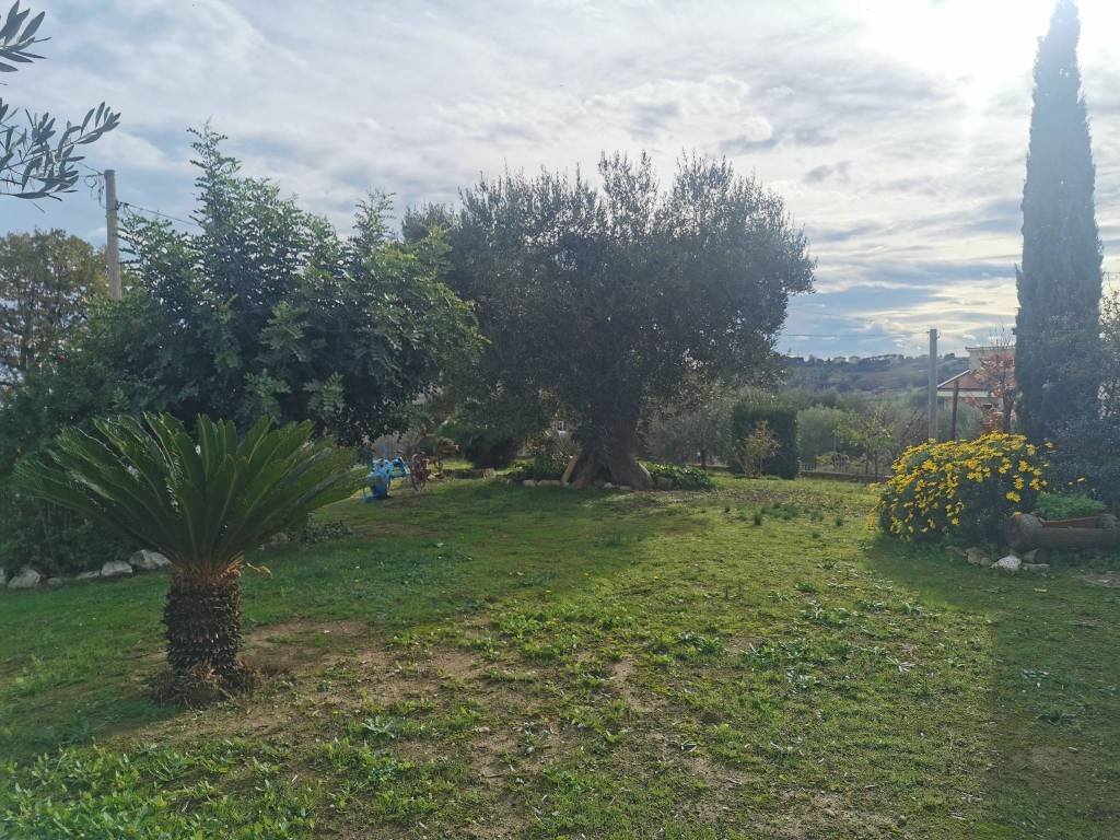 immagine annuncio 3 di 4