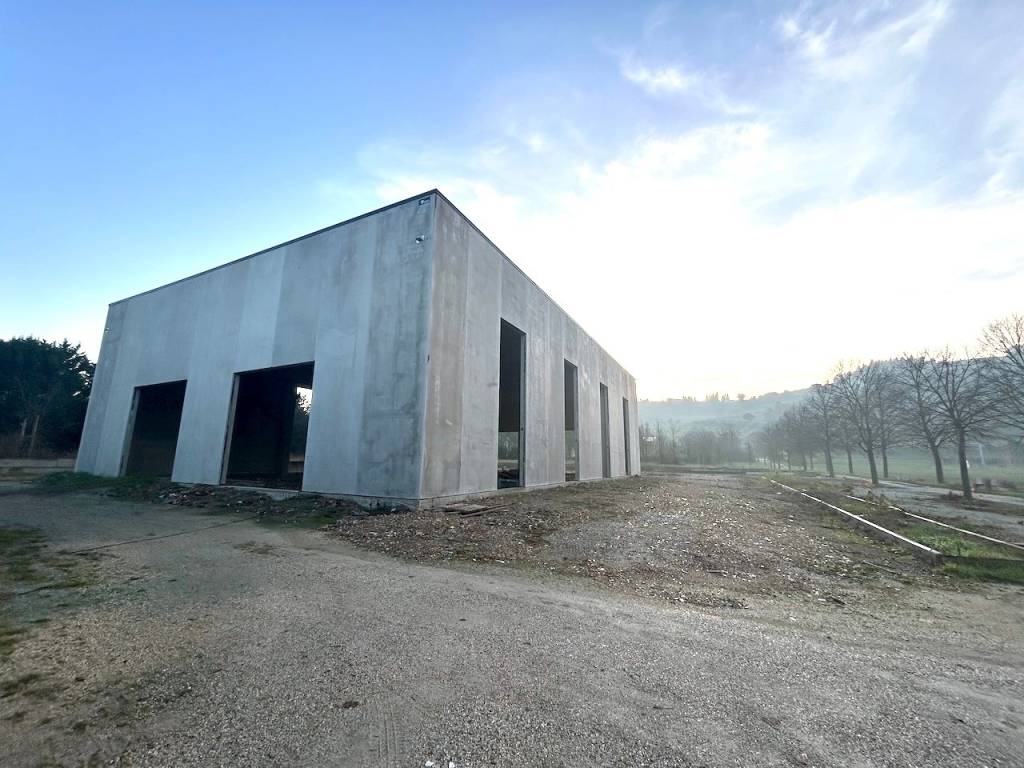 immagine annuncio 1 di 4
