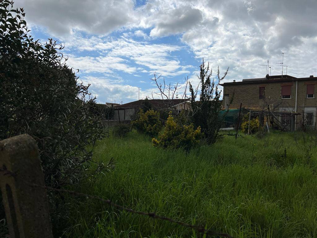 immagine annuncio 2 di 4