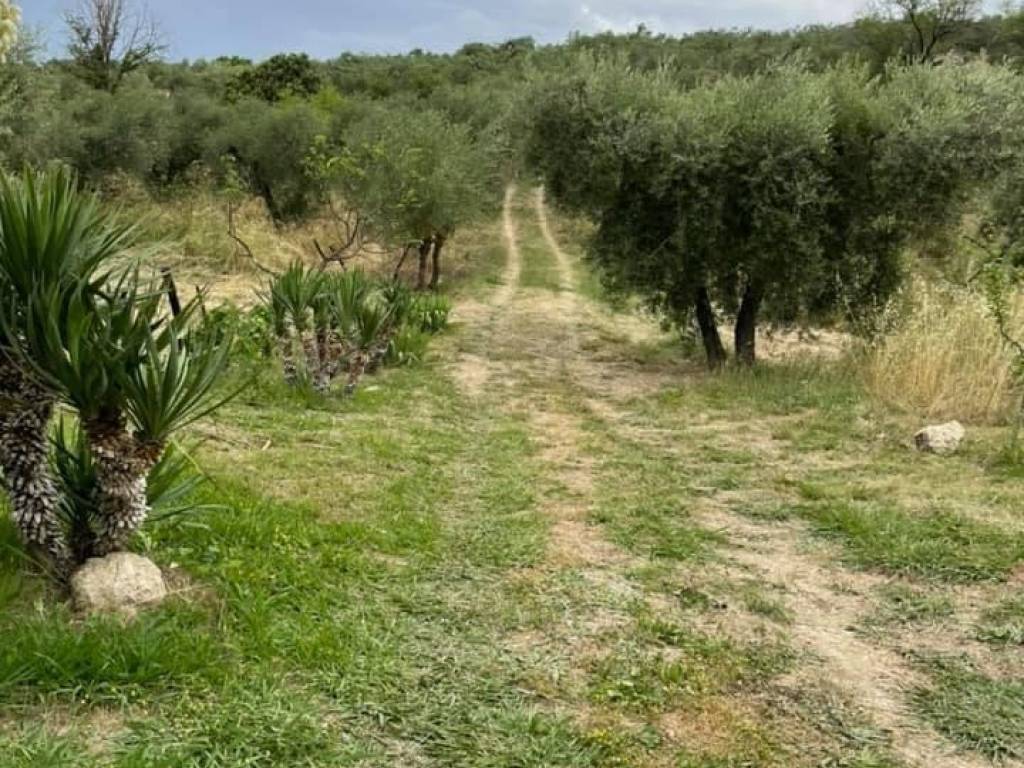 immagine annuncio 2 di 4