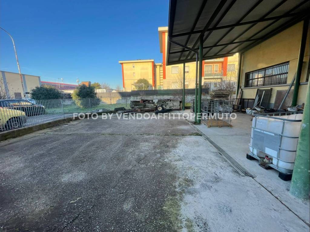 immagine annuncio 1 di 5