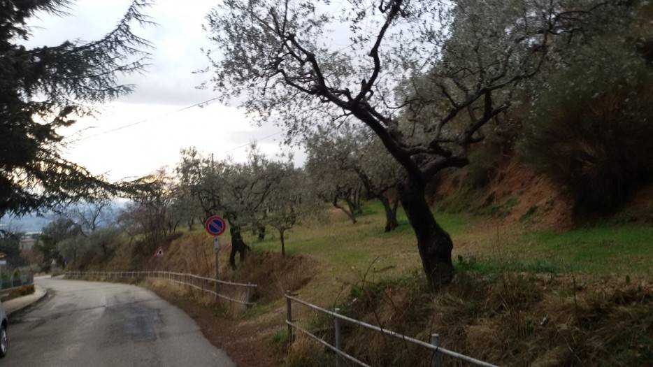 immagine annuncio 1 di 4