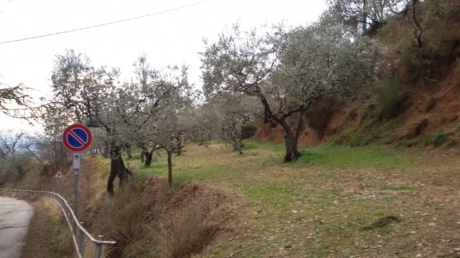 immagine annuncio 3 di 4