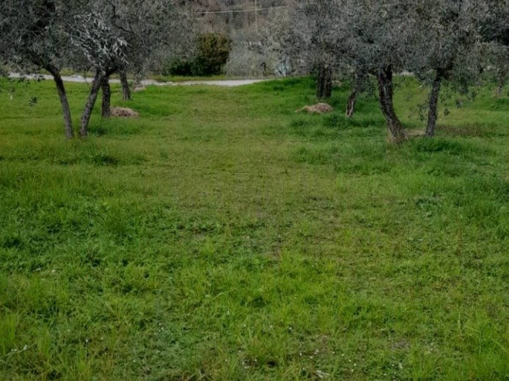 immagine annuncio 1 di 3
