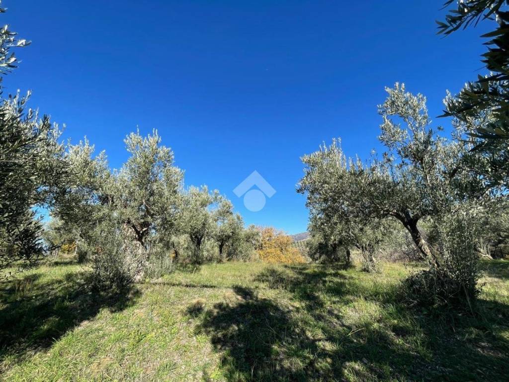 immagine annuncio 1 di 4