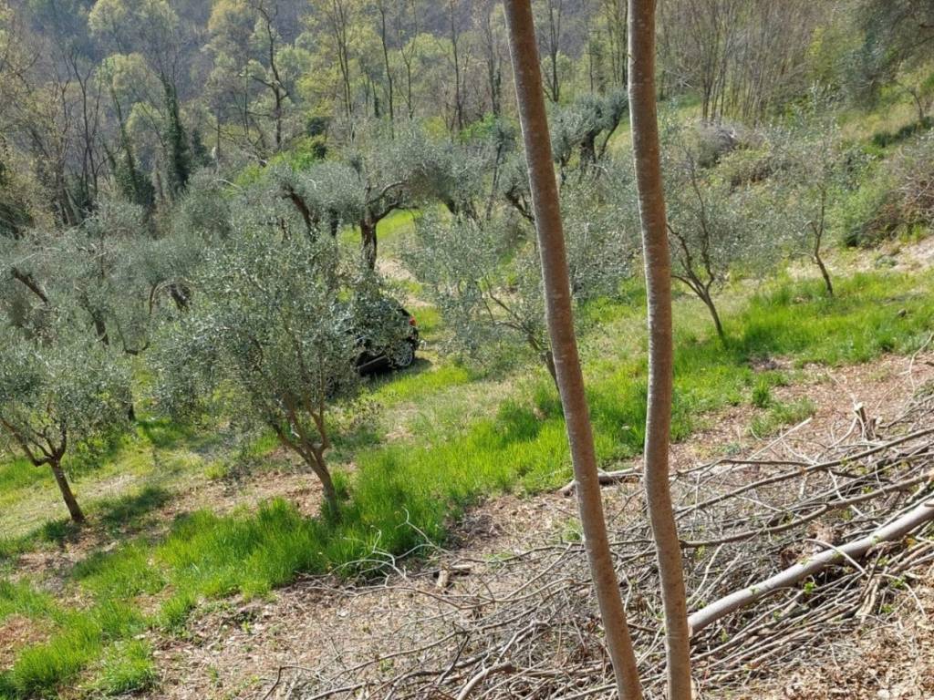 immagine annuncio 2 di 3