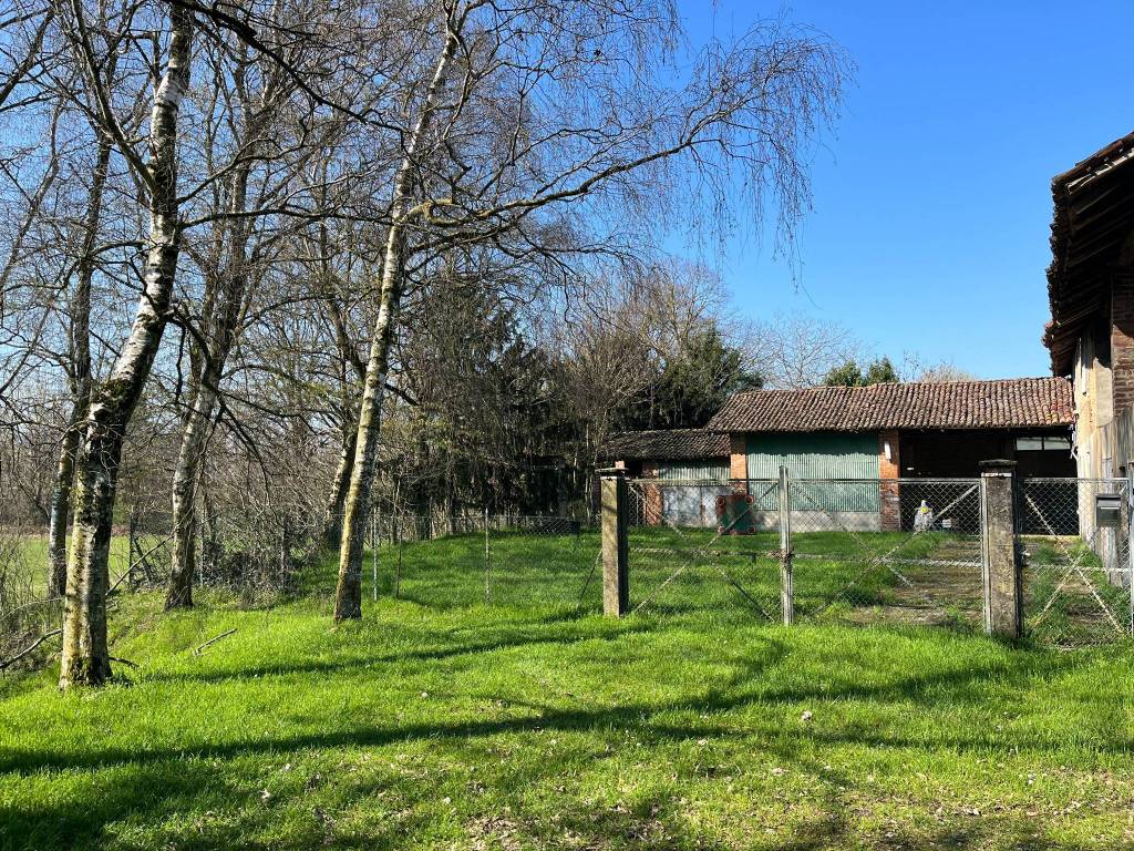 immagine annuncio 3 di 5