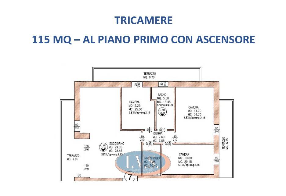 immagine annuncio 4 di 5