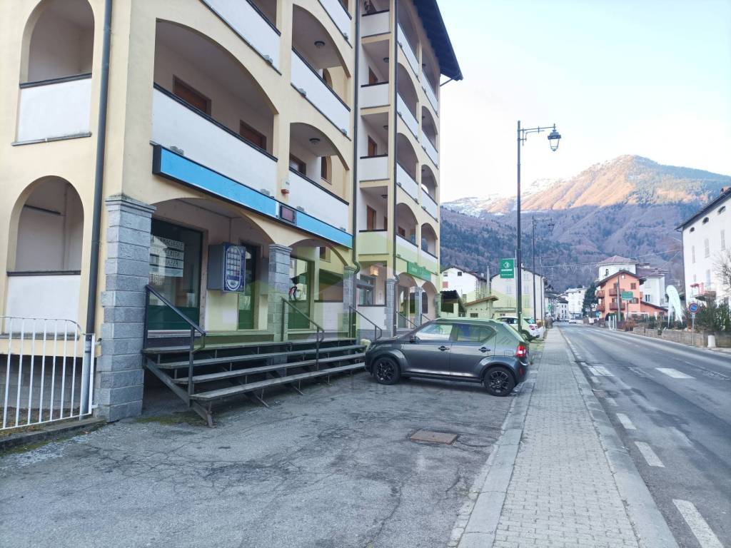 immagine annuncio 1 di 4