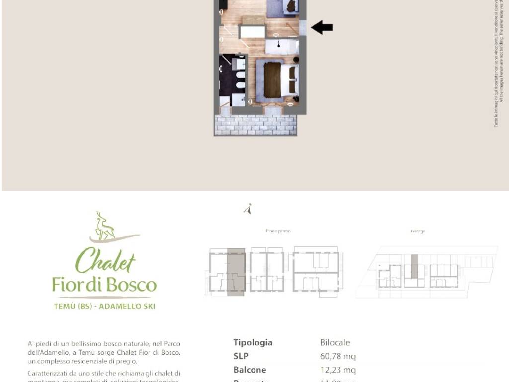 immagine annuncio 1 di 2