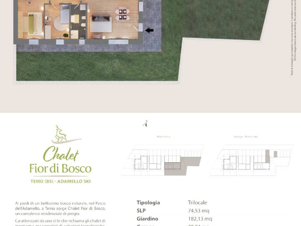 immagine annuncio 1 di 2