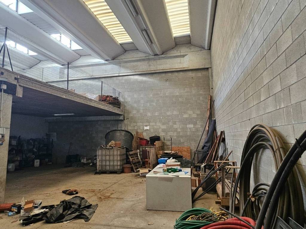 immagine annuncio 1 di 5