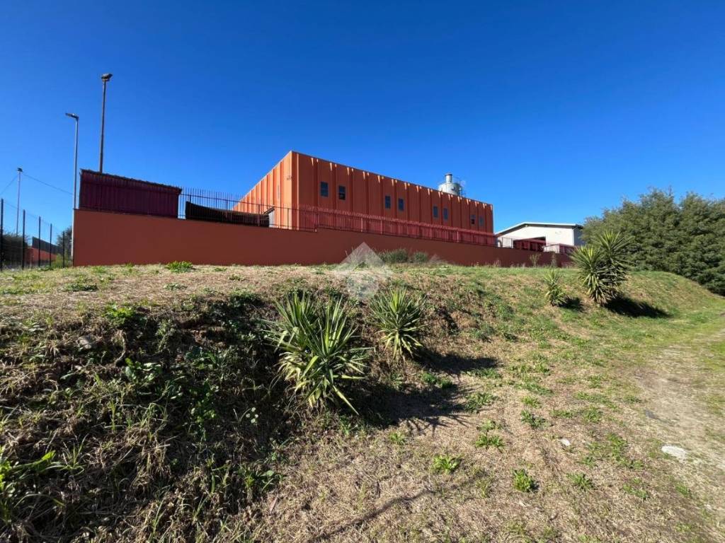 immagine annuncio 2 di 5