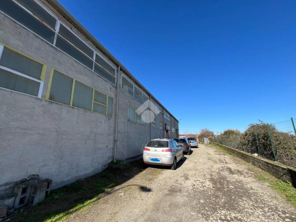 immagine annuncio 3 di 5