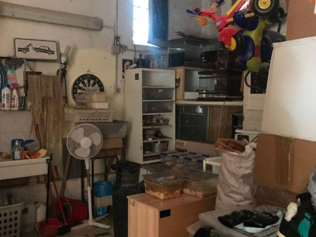 immagine annuncio 1 di 2